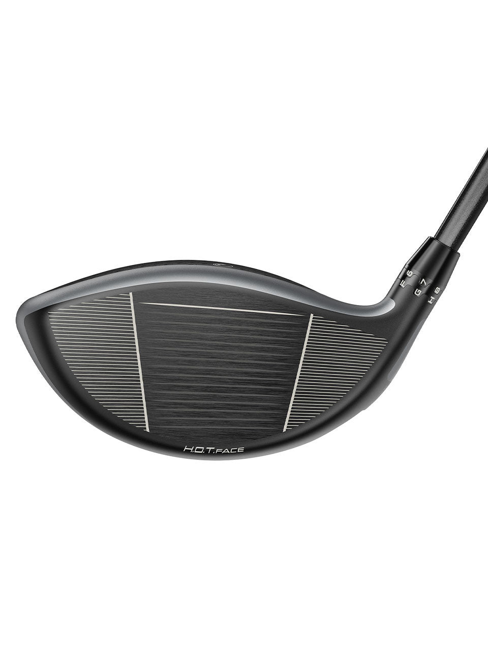 Cobra DS-Adapt X Driver - Arnold Palmer Invitational